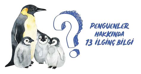 penguen hakkında kısa bilgi ingilizce